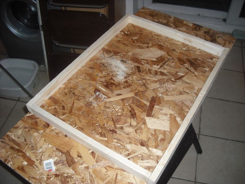 Exo Terra stand... Reptile Forums